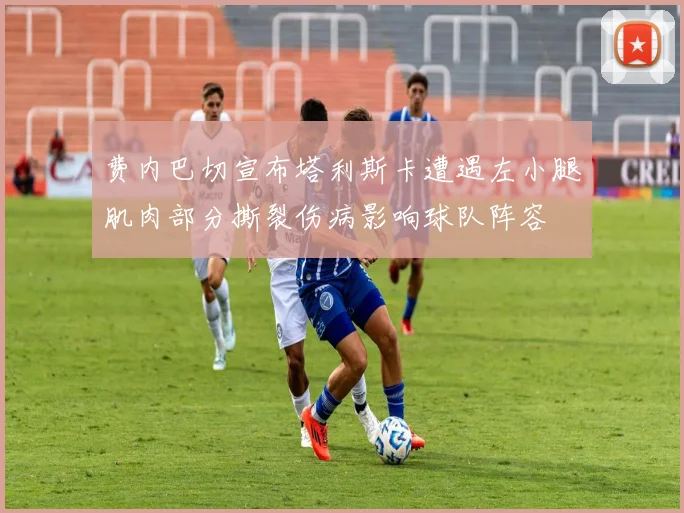 费内巴切宣布塔利斯卡遭遇左小腿肌肉部分撕裂伤病影响球队阵容