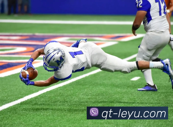 乐鱼体育APP 封面图